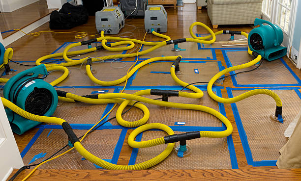 Professional Basement Flood Cleanup technician working in Superior, CO